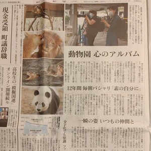 タンタン　2020年6月29日　朝日新聞　夕刊　記事　動物園　心のアルバム　パンダ　Panda　ジャイアントパンダ　王子動物園