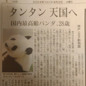 タンタン　2024年4月2日　神戸新聞　記事　タンタン 天国へ 王子動物園　ジャイアントパンダ