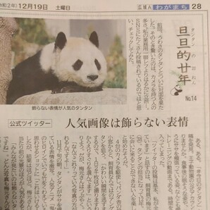 ★タンタン/ 旦旦的廿年　2020年12月19日　神戸新聞　記事　『人気画像は飾らない表情』王子動物園　パンダ　ジャイアントパンダ　Panda