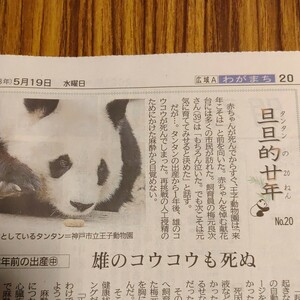 タンタン/旦旦的廿年　2021年5月19日　神戸新聞　記事　「13年前の出産　雄のコウコウも死ぬ」王子動物園　ジャイアントパンダ　パンダ