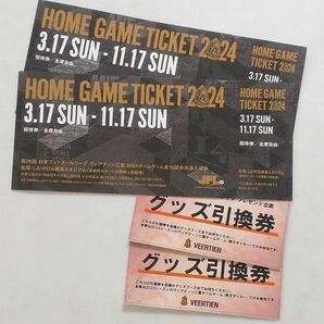 ヴィアティン三重 男子サッカー 2024年 ホームゲーム招待券