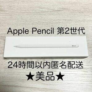 ★美品・動作確認済★アップルペンシル 第2世代 Apple pencil