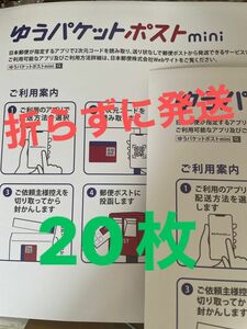 ゆうパケットポストmini封筒　20枚　折らずに発送