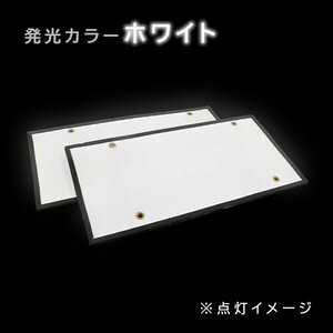 ю 極薄型 高輝度 字光式 LED ナンバー プレート ライト 面発光 大型/トラック/ダンプ 12V/24V 420mm×210mm 2枚 ホワイト イグナイター付