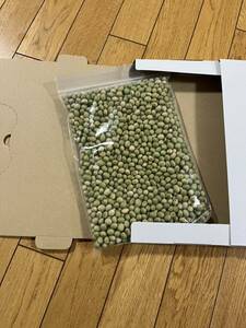  postage included new large legume . peace 5 year production Yamagata prefecture production .. legume blue large legume large legume large grain 850g