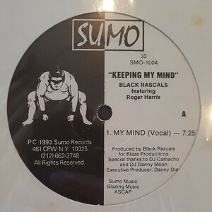 BLACK RASCALS featuring ROGER HARRIS / KEEPING MY MIND /BLAZE THEME TRACK,DAVID MANCUSO,THE LOFT