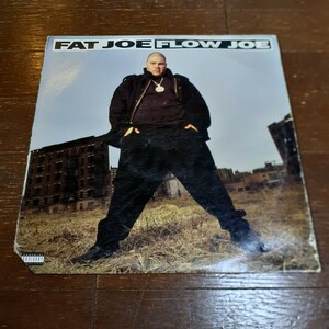 FAT JOE / FLOW JOE /12インチ/DIAMOND D,LORD FINESSE,90'S HIP HOP,ブーンバップ,USオリジナル 