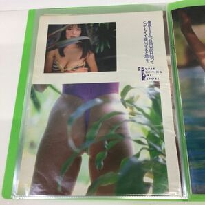 48 ※【同梱可】レア ポスター 昭和アイドル 雑誌付録 切り抜き ファイル入り 藤田芳子 の画像3