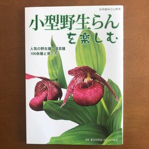 小型野生らんを楽しむ　人気の野生種・園芸種１００余種と育て方 （別冊趣味の山野草） 東京山草会ラン・ユリ部会／監修