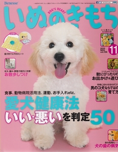 i.. . mochi 2013 year 11 month number * pet upbringing magazine [ conditions attaching free shipping ] 201957