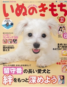 i.. . mochi 2013 year 6 month number * pet upbringing magazine [ conditions attaching free shipping ] 201957