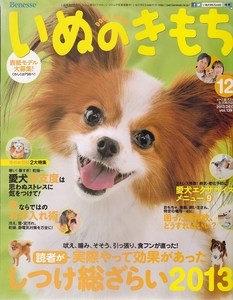 i.. . mochi 2013 year 12 month number * pet upbringing magazine [ conditions attaching free shipping ] 201957
