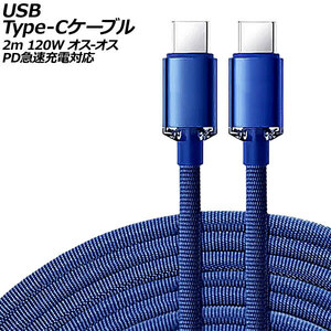 USB Type-Cケーブル ブルー 2m 120W ナイロン編みタイプ オス-オス PD急速充電対応 AP-UJ0991-BL-2M