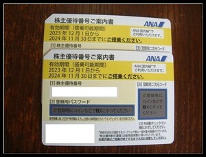 ◆送料無料◇番号通知します・ANA・全日空株主優待券×2枚　有効期限2024年11月30日