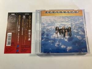 【1】10490◆Aerosmith／Aerosmith◆エアロスミス／野獣誕生◆ピクチャーレーベル仕様◆国内盤◆帯付き◆