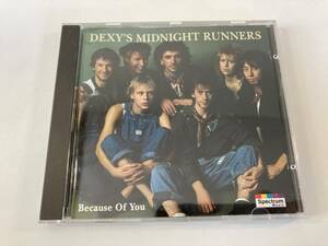 【1】M10524◆Dexys Midnight Runners／Because Of You◆デキシーズ・ミッドナイト・ランナーズ◆輸入盤◆