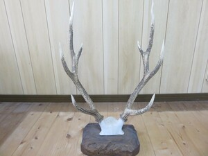  deer. angle objet d'art ornament decoration 