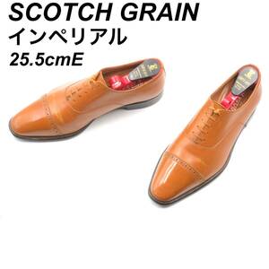 即決 SCOTCH GRAIN スコッチグレイン インペリアル 25.5cmE 948 メンズ レザーシューズ ストレートチップ 茶 ブラウン 革靴 皮靴 ビジネス