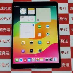 iPad Pro 10.5インチ 64GB Wi-Fiモデル バッテリー87％ 美品[261952]