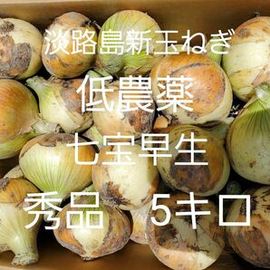 淡路島新玉ねぎ(七宝早生5キロLサイズ)低農薬 農家直送