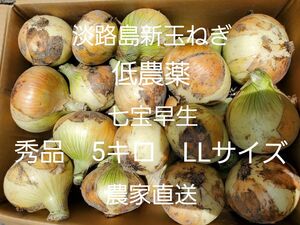 淡路島新玉ねぎ(七宝早生5キロLLサイズ)低農薬 農家直送