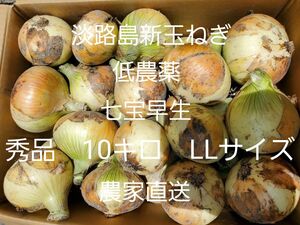 淡路島新玉ねぎ(七宝早生10キロLLサイズ)低農薬 農家直送