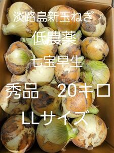 淡路島新玉ねぎ(七宝早生20キロLLサイズ)低農薬 農家直送