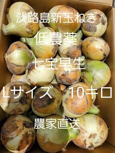 淡路島新玉ねぎ(七宝早生10キロLサイズ)低農薬 農家直送