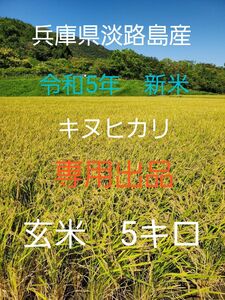 【令和5年新米】兵庫県淡路島産キヌヒカリ5キロ(低農薬玄米)農家直送