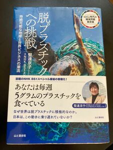 脱プラスチックへの挑戦　持続可能な地球と世界ビジネスの潮流 （ＳＤＧｓ時代の環境問題最前線） 著者