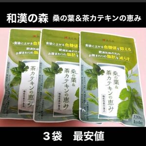 和漢の森 桑の葉&茶カテキンの恵み 120粒×3 大特価 ¥7900→¥5699本日限定価格！ラスト2セット