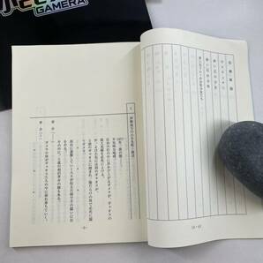 ガメラ 小さき勇者たち 台本 決定稿 制作発表 ご案内 宣材 非売品 パンフレット チラシ 特撮 怪獣 映画の画像3