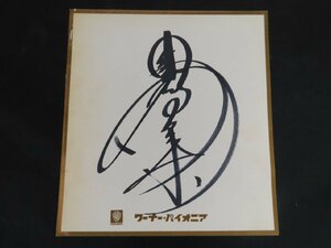 *Y472/ Nakamori Akina autograph square fancy cardboard / that time thing / rare /1 jpy ~