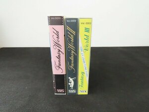 ◇Y440/中山美穂 Vol.0001～Vol.0003 Fantasy world VHS 計3点セット/1円～