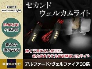 アルファード 30系 セカンドドア ウエルカムライト 2個セット ホワイト発光 LED ウエルカムランプ 手すり用 ドレスアップ カスタム