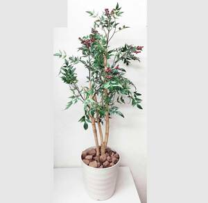 [ artificial flower ] person . decorative plant * fake green [ red real attaching ]( control number F2012) size :50cm×50cm×130cm