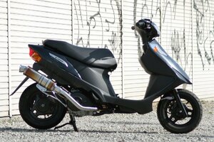 Realize アドレスV125 バイクマフラー BC-CF46A ブリンク チタン マフラー バイク用品 バイク用 バイクパーツ カスタム V-308-011-01