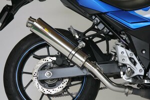 Realize GSX250R バイクマフラー 2BK-DN11A 8BK-DN12B 2017年～2021年モデル対応 アリア ステンレス カールタイプ V-520-SO-003-01