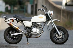 Realize エイプ50 バイクマフラー BA-AC16 2001年～2008年モデル対応 キャブ車用 エンプレス チタン マフラー カスタム V-302-101-01