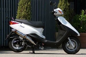 Realize アクシストリート バイクマフラー EBJ-SE53J XC125E 2009年～2015年モデル対応 イグジスト チタン マフラー カスタム V-319-010-01