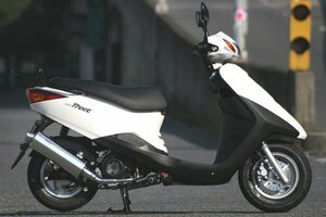 Realize アクシストリート バイクマフラー EBJ-SE53J XC125E 2009年～2015年モデル対応 フルブースト ステンレス マフラー V-319-008-00