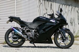 Realize ニンジャ250R バイクマフラー JBK-EX250K 2008年～2012年モデル対応 アリア チタン スラッシュタイプ TypeS V-507-SO-001-02