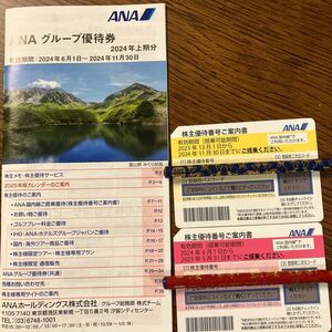 ANA 優待券　2枚　割引券冊子付き　往復利用可能