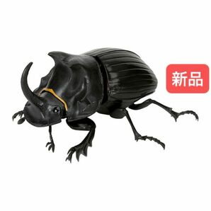 【新品】　ダイコクコガネ　いきもの大図鑑かぶとむし05 バンダイ　生き物　昆虫　フィギュア　ガチャ