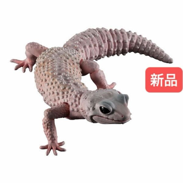 【新品】　ヒョウモントカゲモドキ（ブリザード）　いきもの大図鑑アドバンス　バンダイ　生き物　昆虫　フィギュア　ガチャ