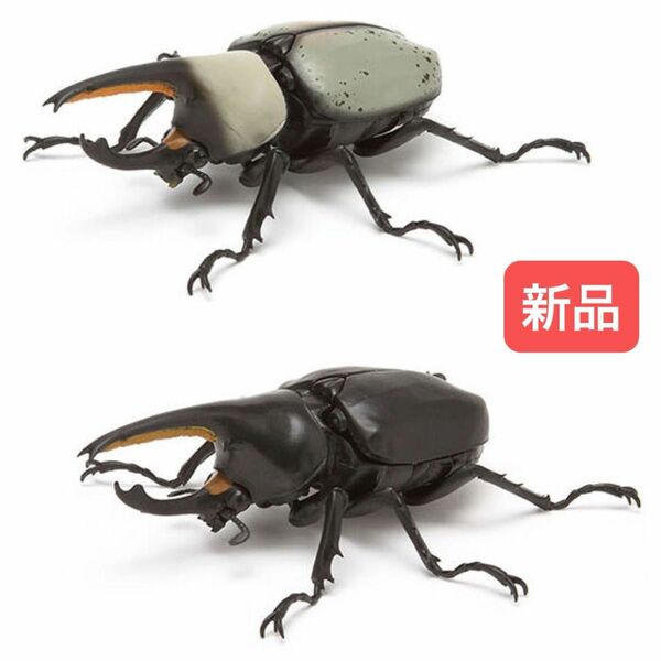 【新品セット】　グラントシロカブト（ホワイト　ブラック）いきもの大図鑑かぶとむし03 バンダイ　生き物　昆虫　フィギュア　ガチャ