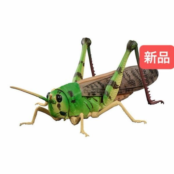 【新品】　トノサマバッタ（緑色）　いきもの大図鑑アドバンス　バンダイ　生き物　昆虫　フィギュア　ガチャ