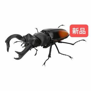 【新品】　パリーフタマタクワガタ　いきもの大図鑑くわがた06 バンダイ　生き物　昆虫　フィギュア　ガチャ