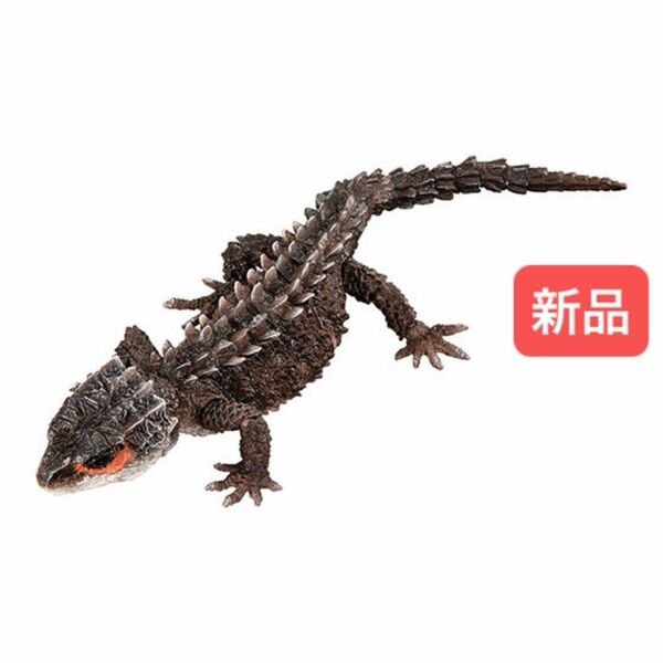 【新品】　アカメカブトトカゲ（ダークブラウン）　いきもの大図鑑アドバンス　モトイカブト　バンダイ　生き物　昆虫　フィギュア　ガチャ