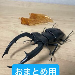 【おまとめ用】　マンディブラリスフタマタクワガタ　タランドゥスオオツヤクワガタ　いきもの大図鑑バンダイ　生き物　昆虫　フィギュア